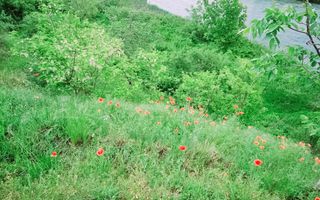 Teren intravilan de vânzare | Râmnicu Vâlcea | 2.800 mp - Poză 9