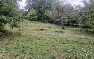Teren intravilan 1.450 mp cu casă și anexă – Podu Iloaiei, Iași - Poză 4