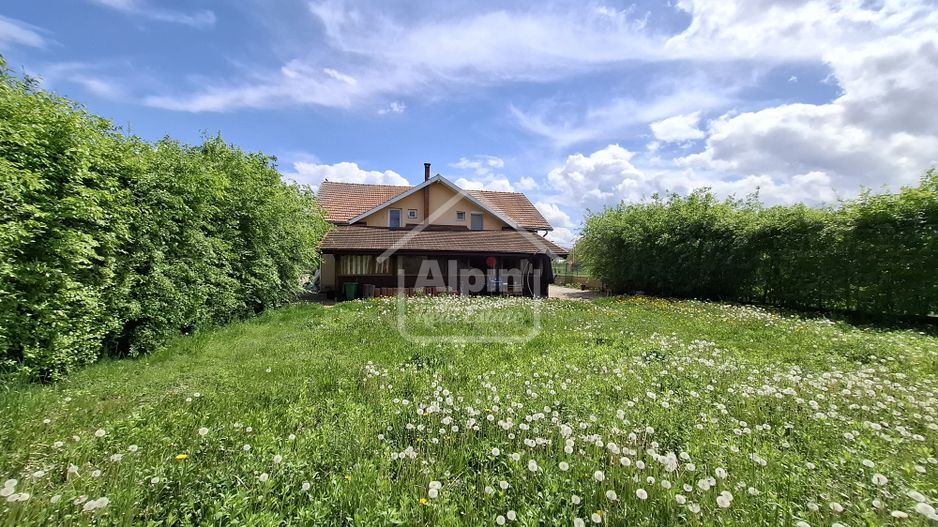 Duplex Zona Linistita Carpinis - Poză 2