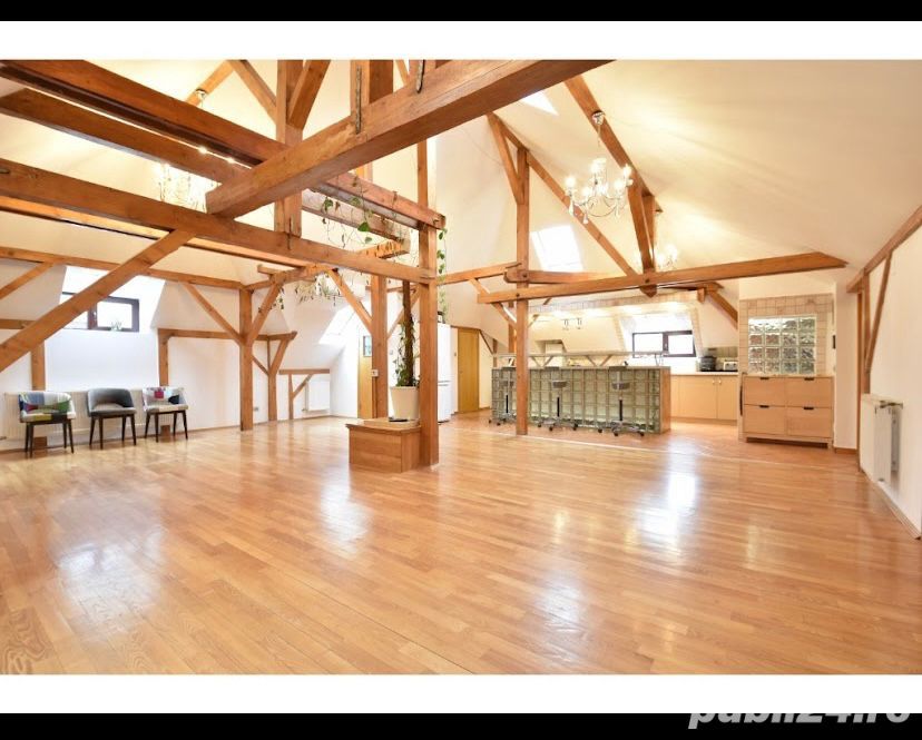 Arcul de Triumf | 3 Camere | Mansarda | Pet friendly - Poză 3