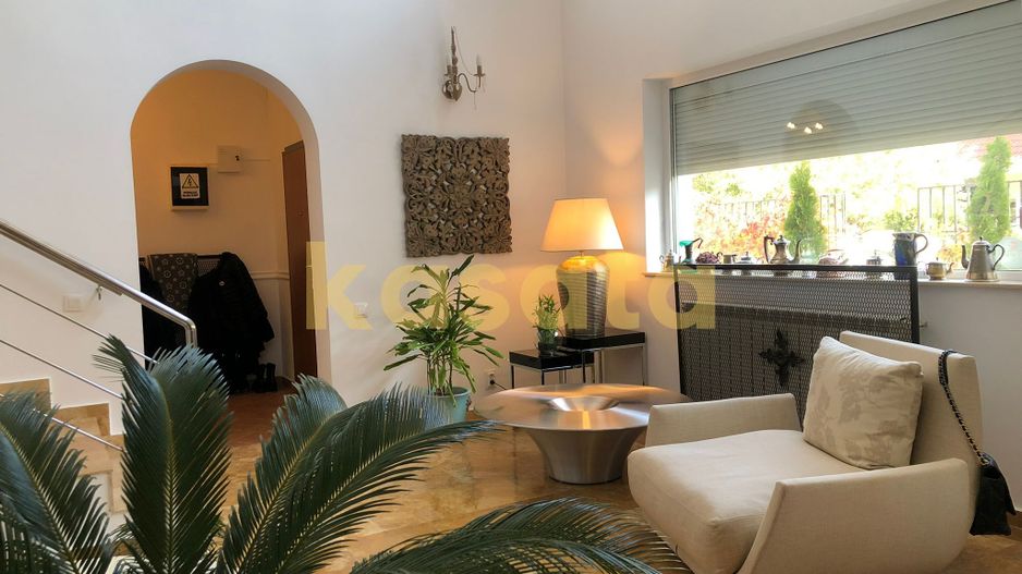 Vila deosebita 11 camere Erou Iancu Nicolae - Poză 7