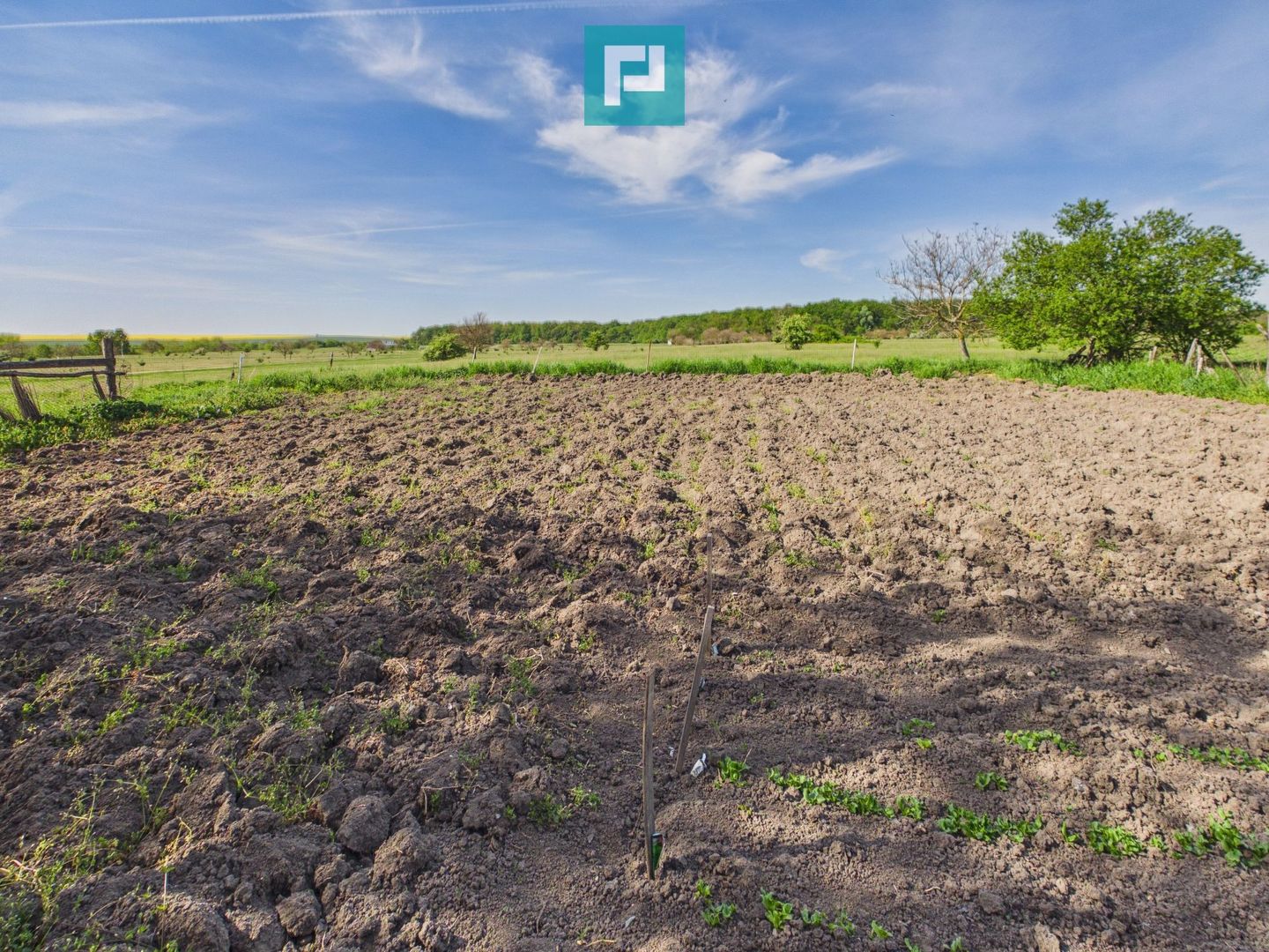 Casă retrasă Pișchia – 4 camere, teren 920 mp - Poză 63