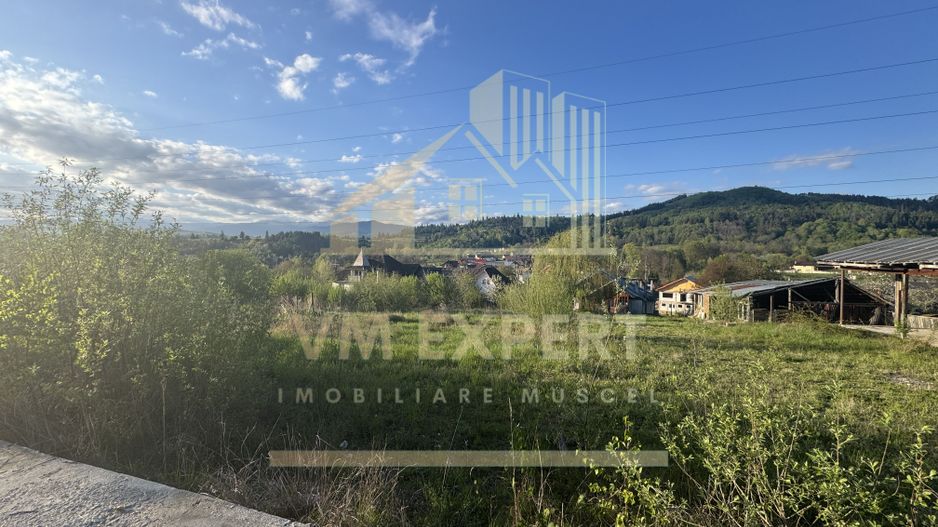 TEREN INTRAVILAN 2500 MP GRUI CAMPULUNG - Poză 5