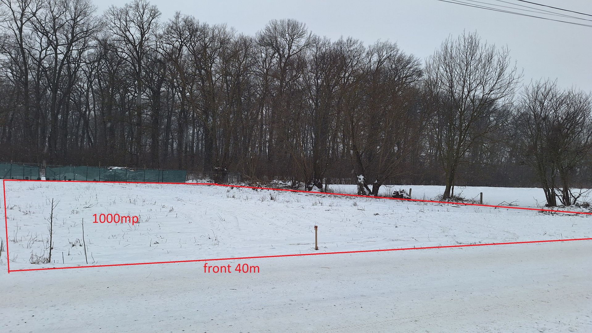 Teren 1000mp intravilan la liziera padurii, acces din drum asfaltat. - Poză 3