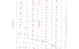 Teren Sanandrei-645 mp - Poză 3