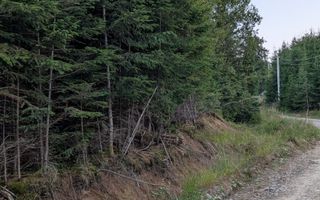 Teren 19,500 mp (1,95 Ha)-curent-ideal cabane-Colibita - Poză 1