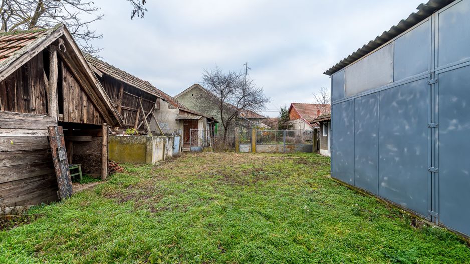 Casă + livadă tânără + curte 2.500 mp în Dorobanți - Poză 11