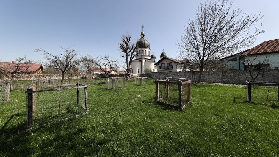 Casă Săsească Autentică cu Șură Impresionantă în Cristian – Teren 2729mp - Poză 13