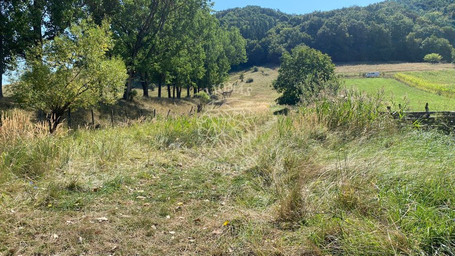 Teren intravilan 2600 mp - pretabil casa/investitie-Zona Aerodrom - Poză 8