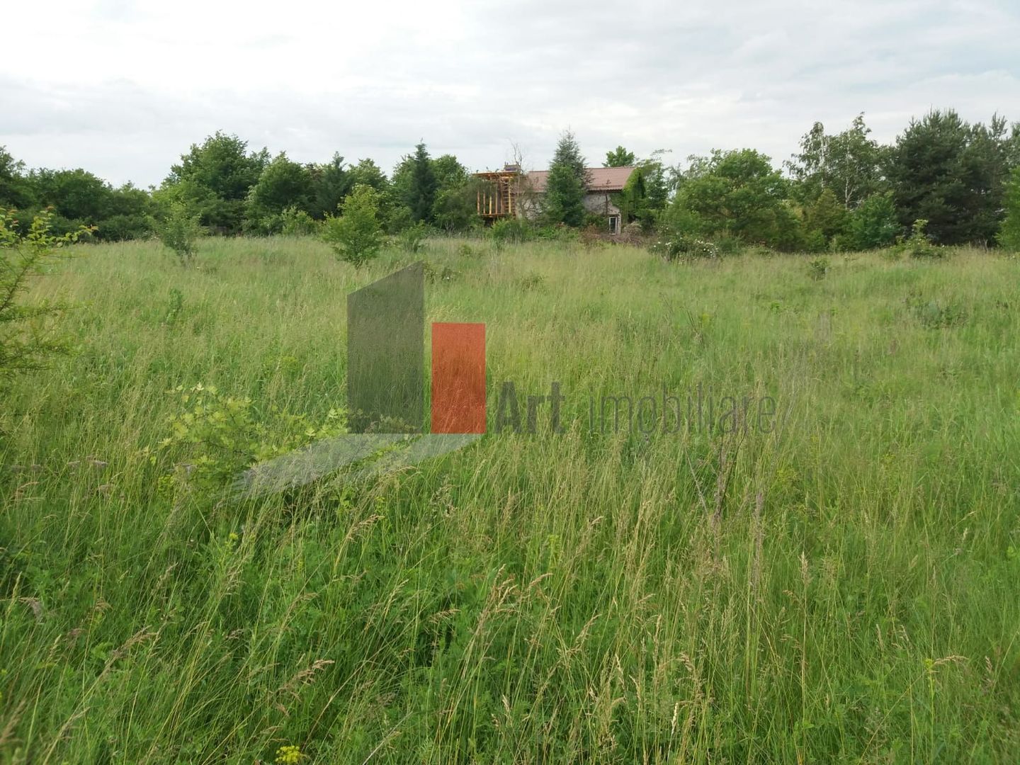 Teren Buftea cu iesire la lac - Poză 26