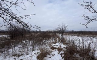 Casa de vanzare in Targu Trotus - Poză 8