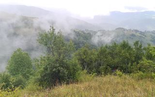 Super ofertă 35000 teren in Muntii Apuseni - Poză 17