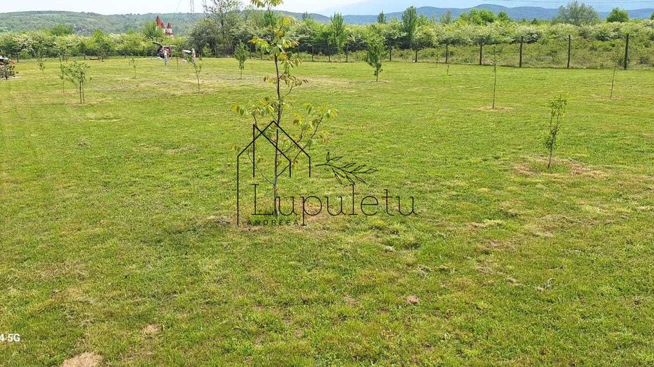Teren Extravilan | 2.000 MPU | Intabulat | Zonă liniștită - Poză 3
