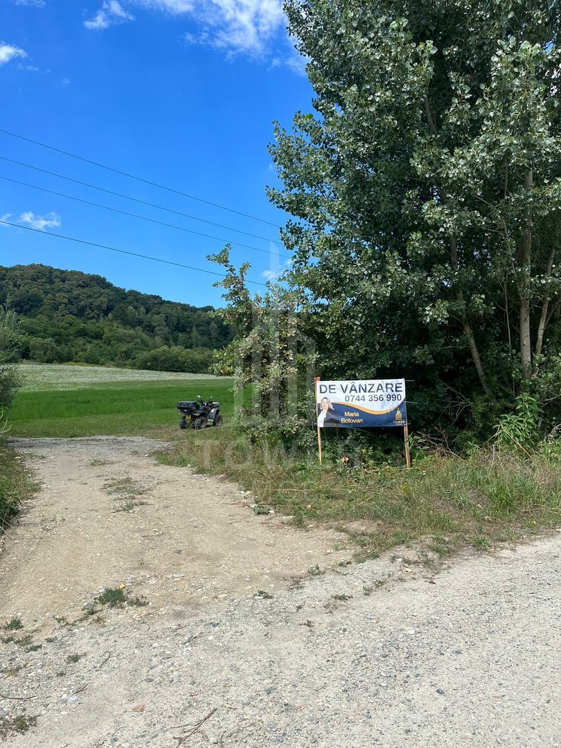 Teren extravilan de vânzare la ieșire din Bradu-Sibiu - Poză 3
