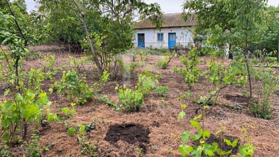 Teren intravilan 2562mp Loc 23 August | Ideal locuiță sau casă vacanță - Poză 5