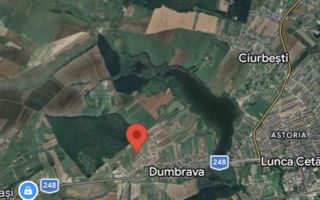 Teren intravilan de vânzare, Dumbrava, comuna Ciurea - Poză 1