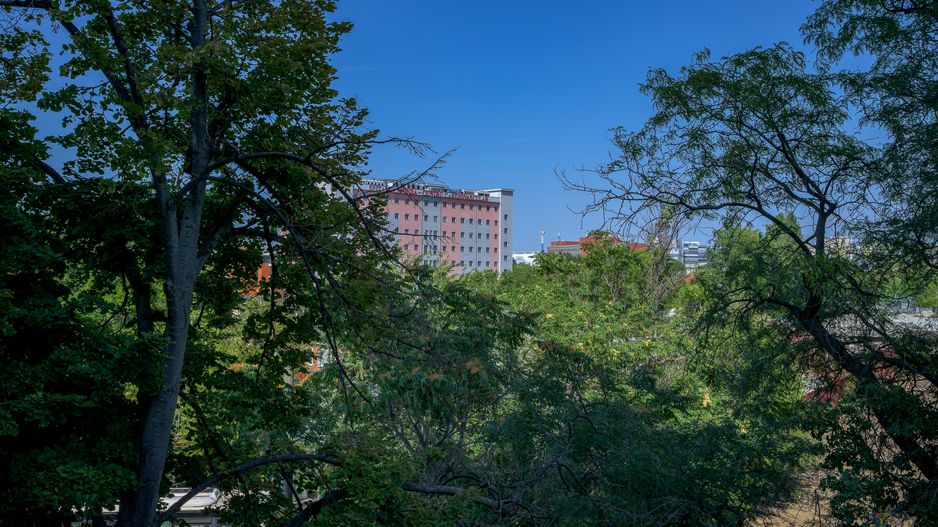 3 camere spațioase, vedere spre parc | Vatra Luminoasă - Poză 12
