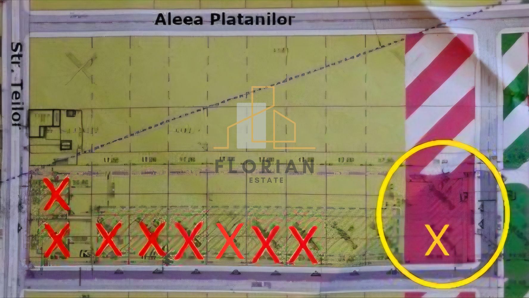 Teren Intravilan Servicii- Giarmata-Vii -str. Teilor- - Poză 1