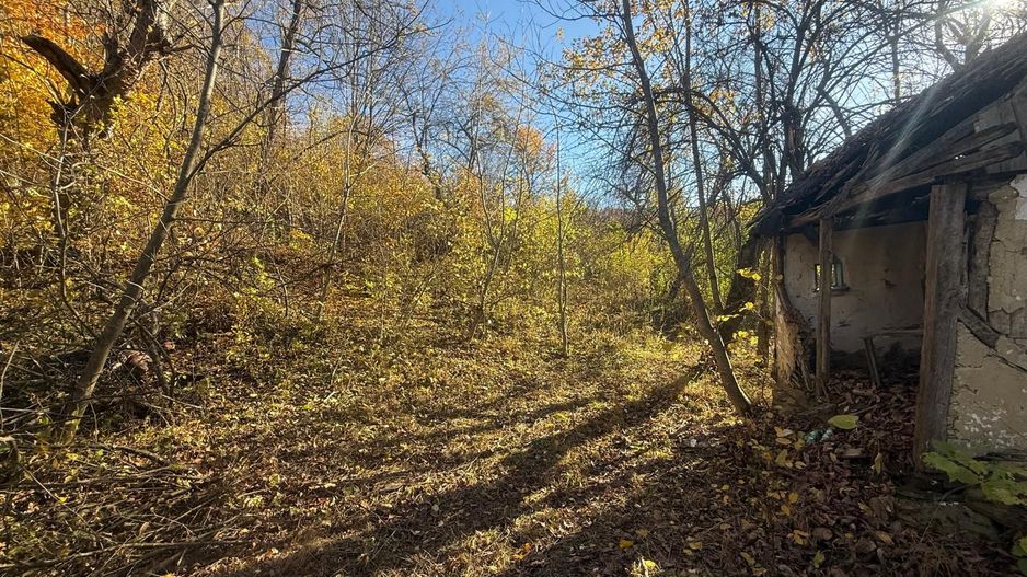 Teren langa pădure 6400mp+casa demolabila-deschidere 35 ml - Poză 10