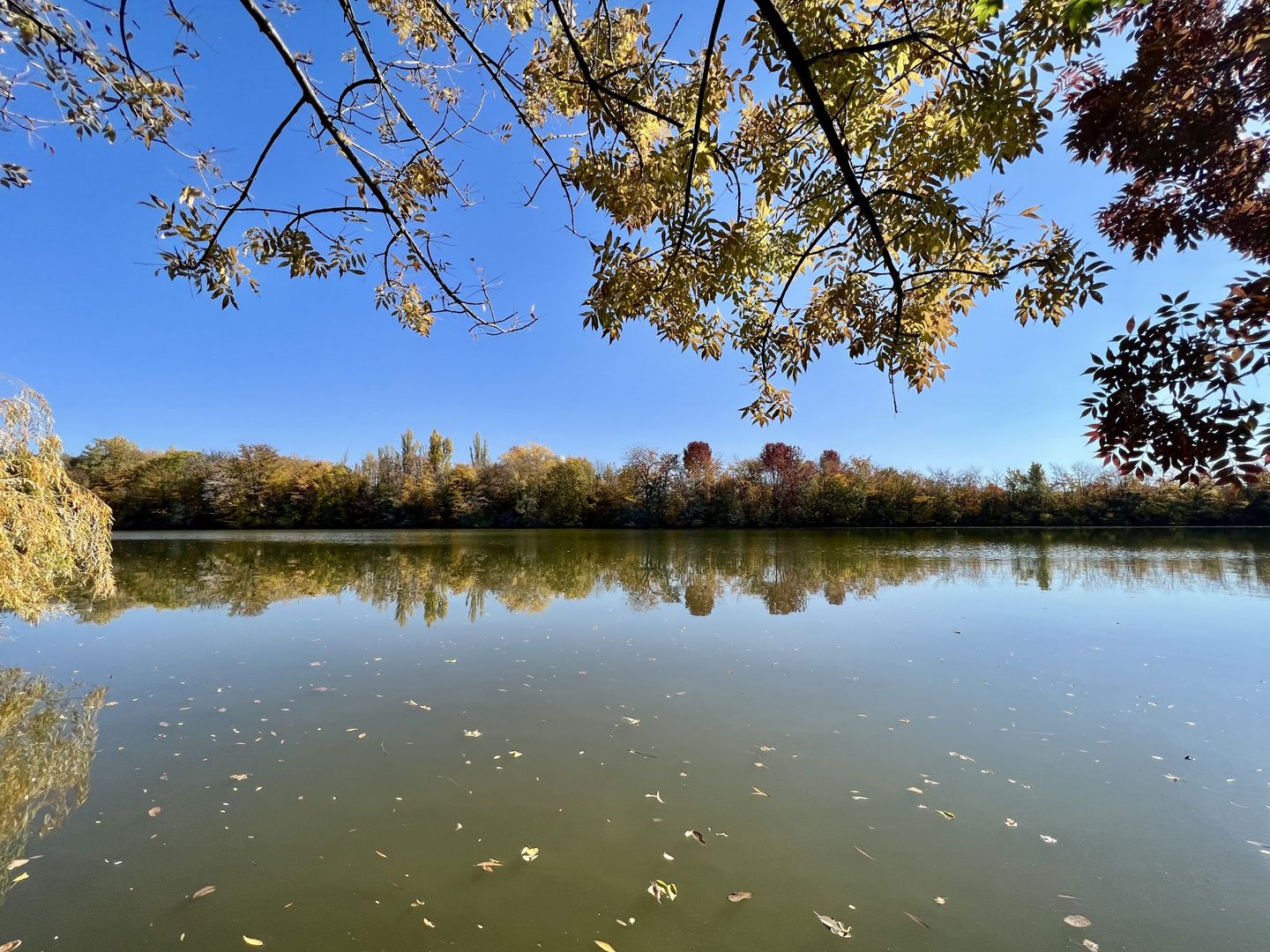 Teren 6000 mp pozitie deosebita lacul Baneasa adancime 140 m - Poză 17