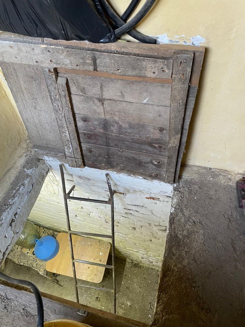 Casa parter 35 km de la Timisoara - Poză 18