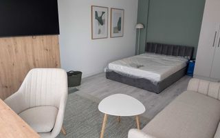 Apartament 1 Cameră, Complex Solumnia (Tătărași), Prima Închiriere - Poză 2