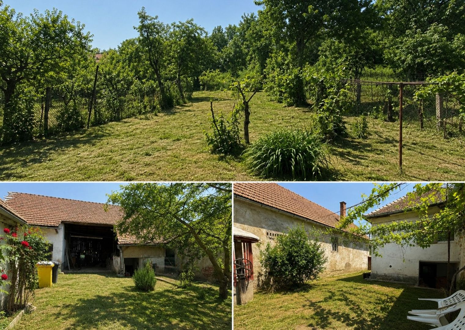 Casa de 3 camere,  Axente Sever - Poză 9