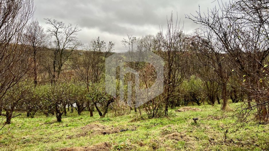 Teren cu livada+ casa de vanzare in Talmacel- 4000 mp - Poză 3