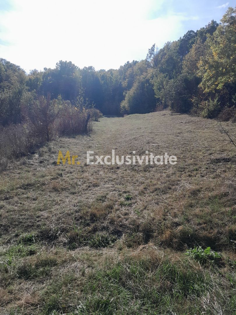 TEREN DE VANZARE IN BABANA, ARGES,  LANGA PADURE - Poză 6