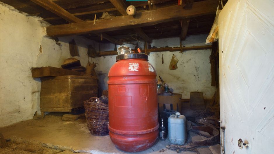 Casă de vacanță de vânzare în Tauț - Poză 5