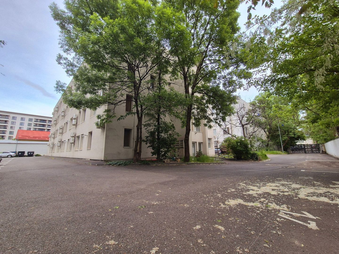 STUDIO | DIMITRIE POMPEIU | PIPERA | PET-FRIENDLY - Poză 8