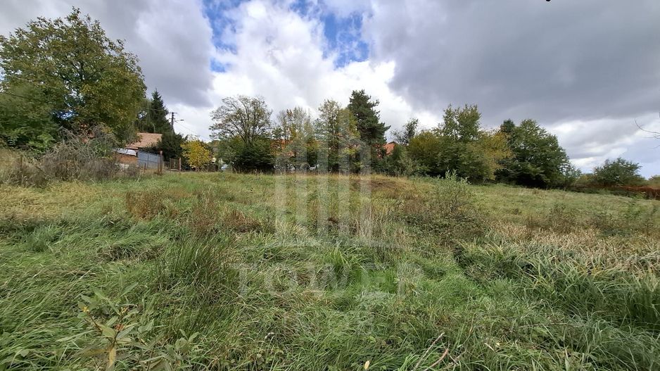 Teren intravilan cu Puz si priveliște deosebită, spre Cetatea Cisnădioara - Poză 2