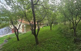 Casa individuala 4 camere teren 3825 mp Cisnadioara - Poză 10