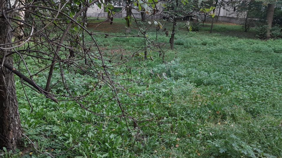 Apartament 4 camere, 2 bai, 2 balcoane, Plopilor Vechi - Poză 10