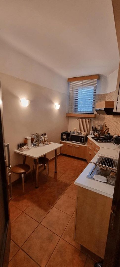 APARTAMENT DEMISOL CU GRADINA - Poză 3