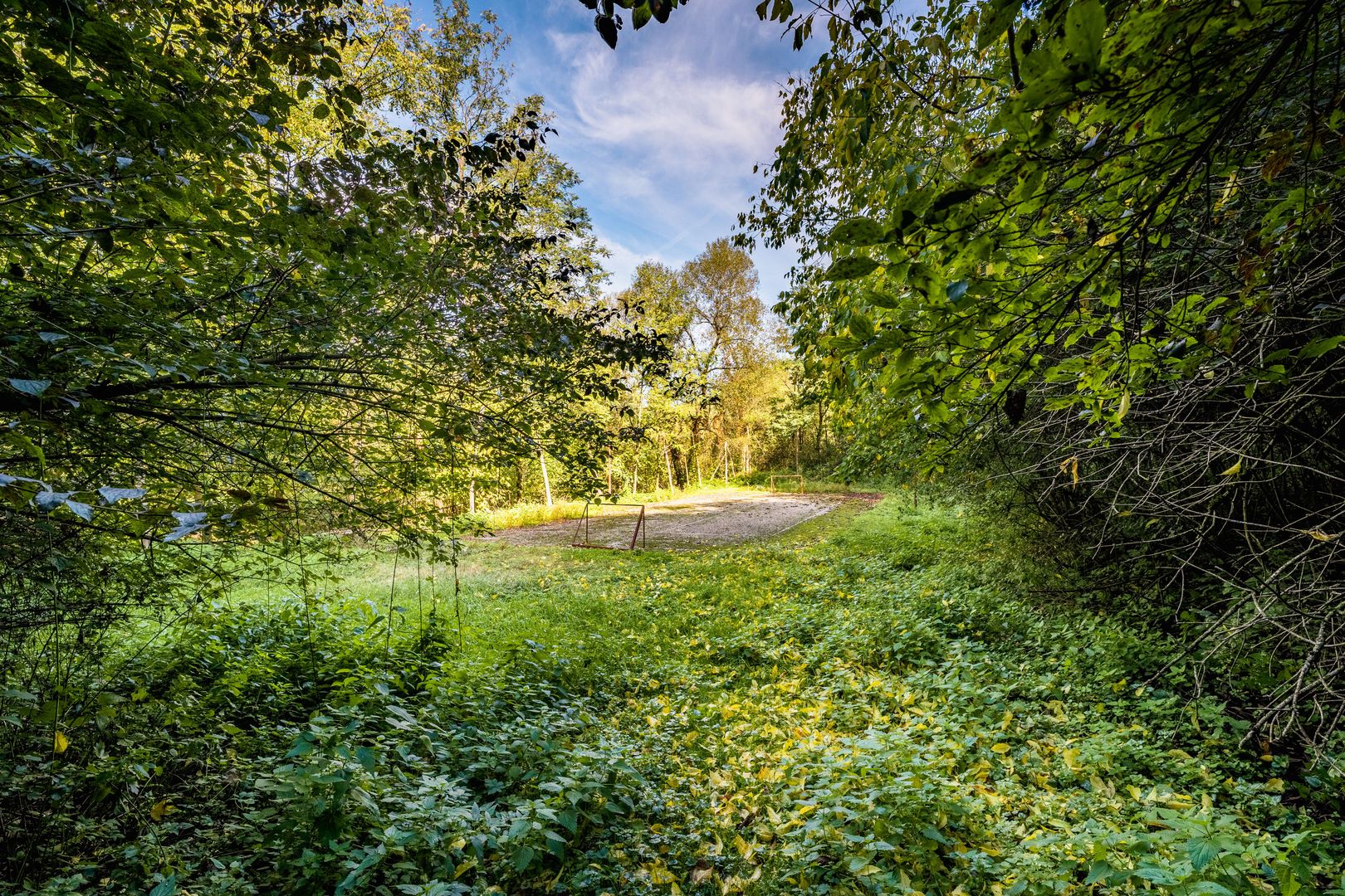 Domeniu în satul Căprioara - Poză 14