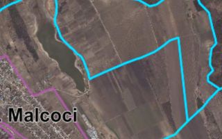 De vânzare teren cu viță - Poză 2