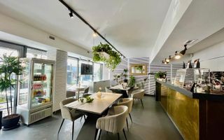 CHIRIE SPATIU COMERCIAL DOROBANTI PIATA FLOREASCA 230MP VAD VIZIBIL - Poză 1