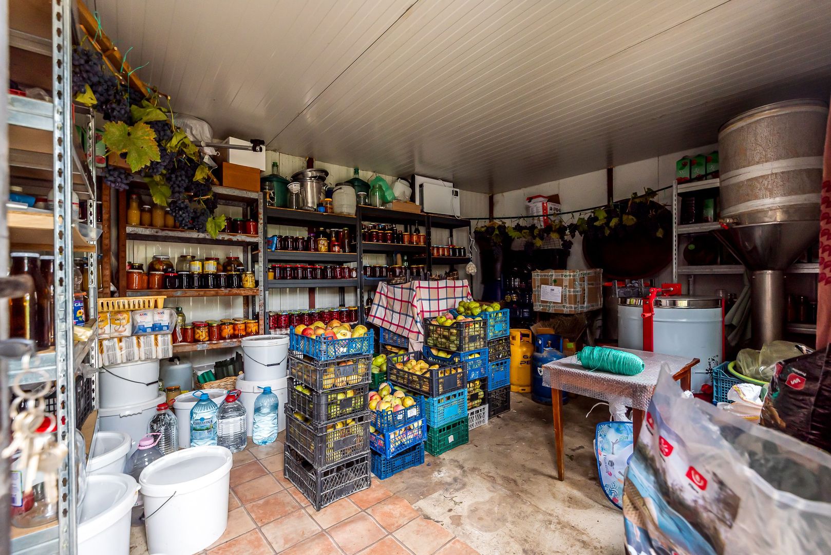 🏡 Mai mult decât o casă: libertatea de a trăi aproape de natură - Poză 16