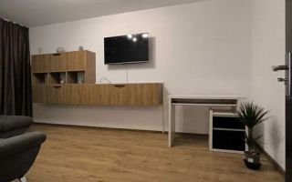 Apartament de inchiriat 2 camere zona 1 Decembrie - Poză 5