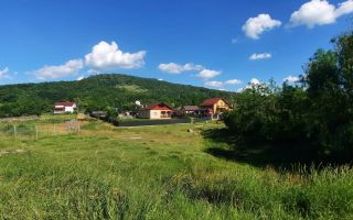 Casă / Vilă cu 2 camere de vânzare în Totoesti - Poză 2
