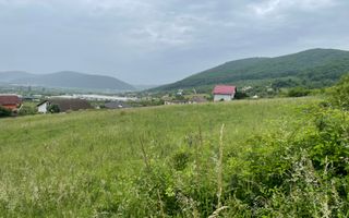 Super Oferta. Teren intravilan, Viisoara. - Poză 3