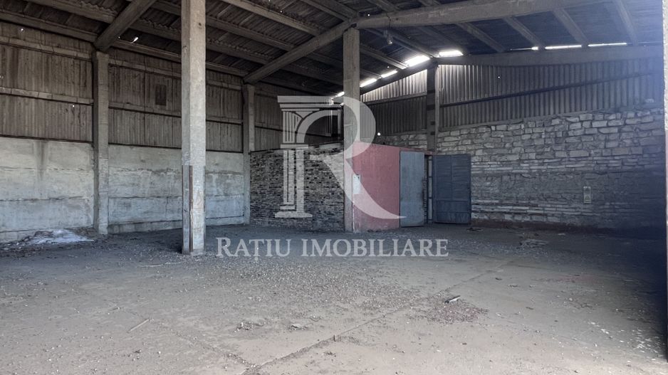 PLATFORMĂ INDUSTRIALĂ STRATEGICĂ ÎN ORADEA –  POTENȚIAL OPERATIONAL - Poză 4