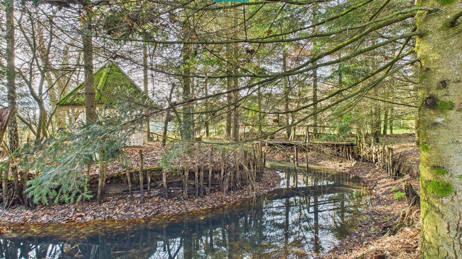 Casă P+E+M cu teren 8163 mp – Roşia Nouă (Petriş) - Poză 11