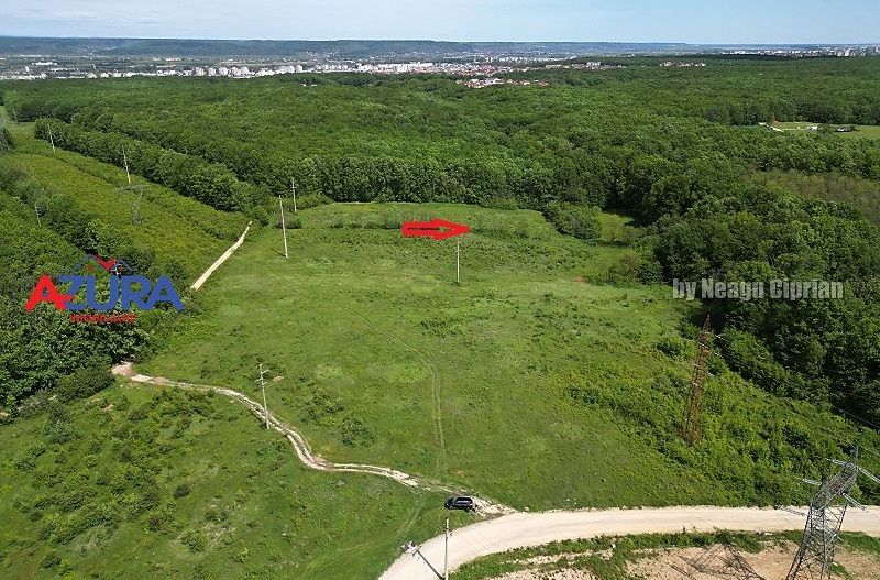 Vanzare teren Balotesti, la padure - Poză 8