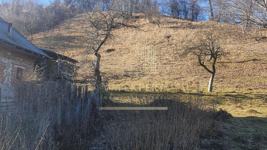 TEREN INTRAVILAN 4614 MP, CAMPULUNG - VALEA ROMANESTILOR - Poză 4