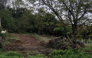 Teren intravilan 1000 mp-ideal afacere,investitie,hala-Zona Centura - Poză 1