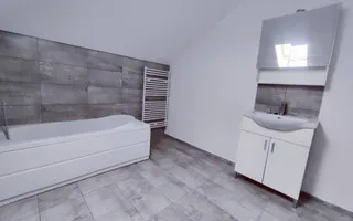 CASA SACALAZ 170 MP CU 640 MP TEREN - Poză 26