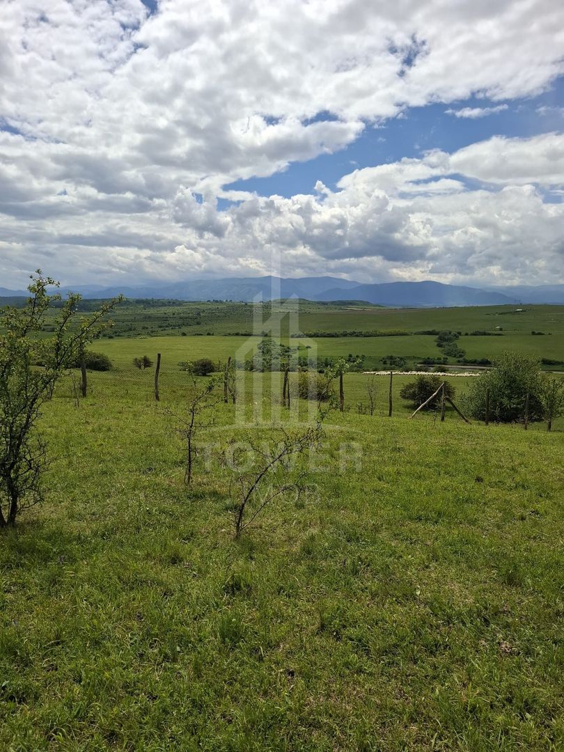 De vanzare, teren 11.500 mp – Dealul Dăii,  Vedere panoramică spre munți și lac - Poză 6