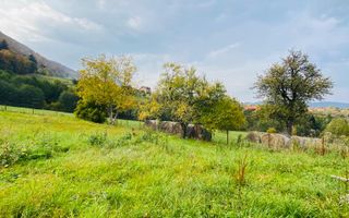 Casa + teren 1700 mp langa Padure Bran/ Predelut - Poză 4